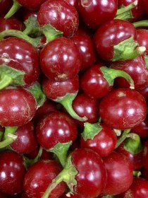 Édes cseresznyepaprika - Édespaprika ritkaságok az Egzotikus Növények Stúdiója kínálatában
